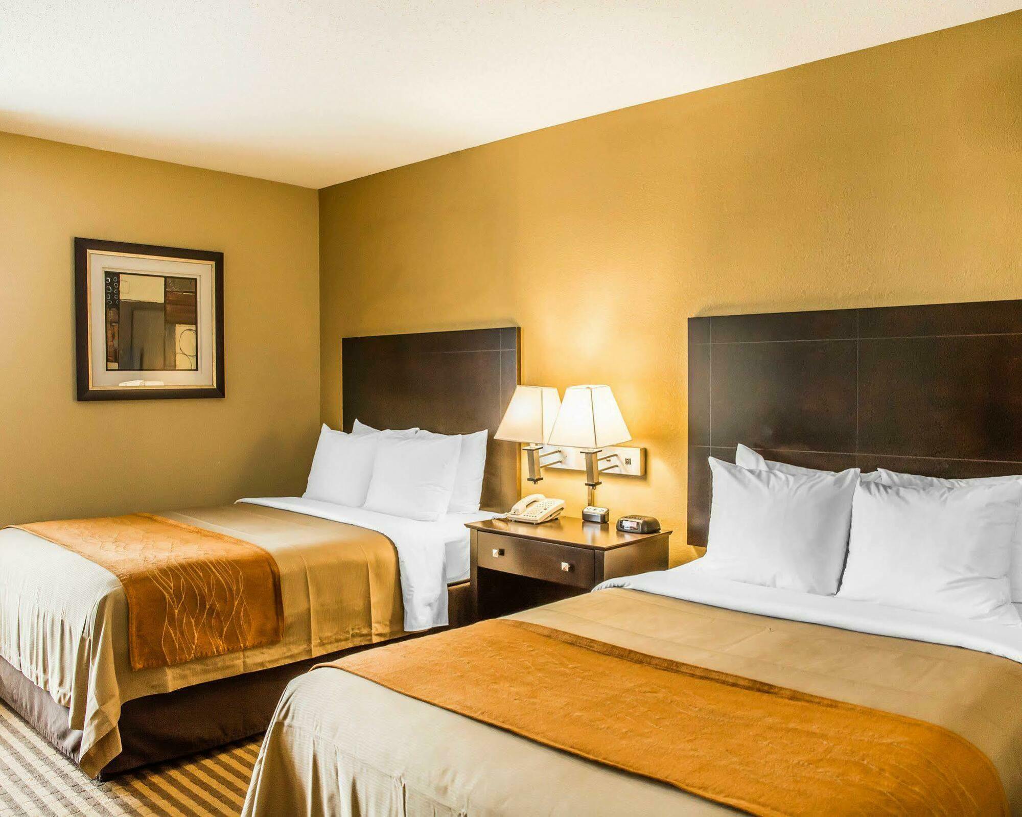 Comfort Inn Airport Turfway Road Florence Bagian luar foto
